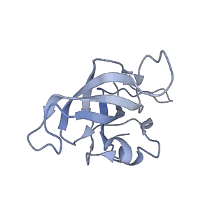 2847_5afi_K_v1-3
2.9A Structure of E. coli ribosome-EF-TU complex by cs-corrected cryo-EM
