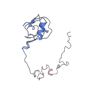 2847_5afi_L_v1-3
2.9A Structure of E. coli ribosome-EF-TU complex by cs-corrected cryo-EM