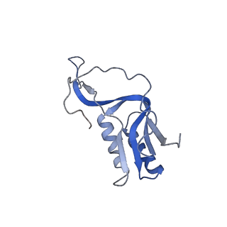 2847_5afi_M_v1-3
2.9A Structure of E. coli ribosome-EF-TU complex by cs-corrected cryo-EM