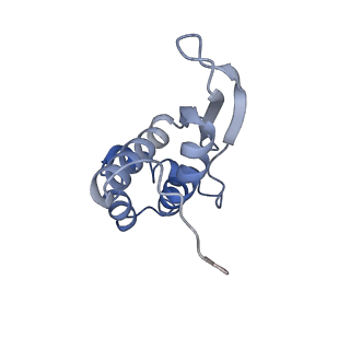2847_5afi_N_v1-3
2.9A Structure of E. coli ribosome-EF-TU complex by cs-corrected cryo-EM