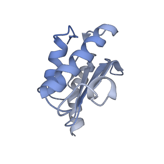 2847_5afi_O_v1-3
2.9A Structure of E. coli ribosome-EF-TU complex by cs-corrected cryo-EM