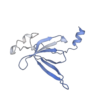 2847_5afi_P_v1-3
2.9A Structure of E. coli ribosome-EF-TU complex by cs-corrected cryo-EM