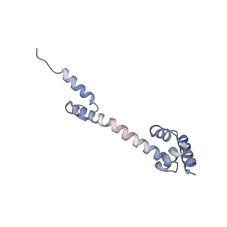2847_5afi_Q_v1-3
2.9A Structure of E. coli ribosome-EF-TU complex by cs-corrected cryo-EM