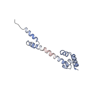 2847_5afi_Q_v3-1
2.9A Structure of E. coli ribosome-EF-TU complex by cs-corrected cryo-EM