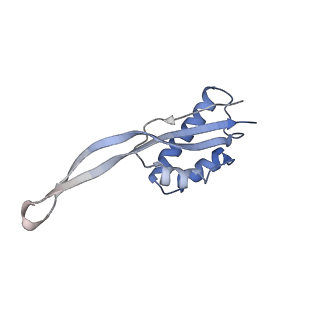2847_5afi_S_v1-3
2.9A Structure of E. coli ribosome-EF-TU complex by cs-corrected cryo-EM