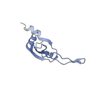 2847_5afi_T_v1-3
2.9A Structure of E. coli ribosome-EF-TU complex by cs-corrected cryo-EM