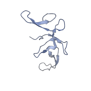 2847_5afi_U_v1-3
2.9A Structure of E. coli ribosome-EF-TU complex by cs-corrected cryo-EM