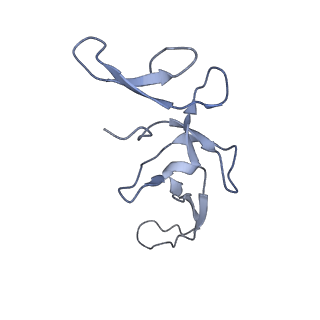 2847_5afi_U_v3-1
2.9A Structure of E. coli ribosome-EF-TU complex by cs-corrected cryo-EM