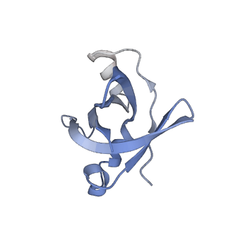 2847_5afi_V_v1-3
2.9A Structure of E. coli ribosome-EF-TU complex by cs-corrected cryo-EM