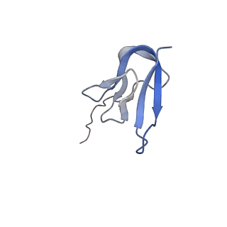 2847_5afi_W_v1-3
2.9A Structure of E. coli ribosome-EF-TU complex by cs-corrected cryo-EM