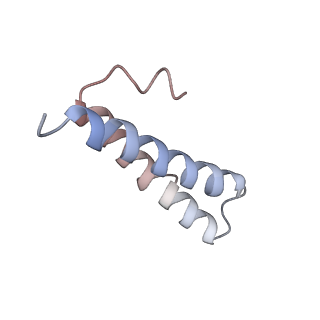 2847_5afi_Y_v1-3
2.9A Structure of E. coli ribosome-EF-TU complex by cs-corrected cryo-EM