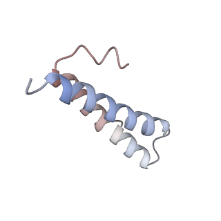 2847_5afi_Y_v2-0
2.9A Structure of E. coli ribosome-EF-TU complex by cs-corrected cryo-EM