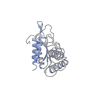 2847_5afi_b_v1-3
2.9A Structure of E. coli ribosome-EF-TU complex by cs-corrected cryo-EM