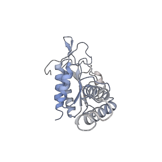 2847_5afi_b_v2-0
2.9A Structure of E. coli ribosome-EF-TU complex by cs-corrected cryo-EM