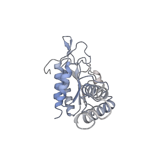 2847_5afi_b_v3-1
2.9A Structure of E. coli ribosome-EF-TU complex by cs-corrected cryo-EM
