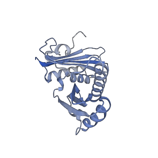 2847_5afi_c_v1-3
2.9A Structure of E. coli ribosome-EF-TU complex by cs-corrected cryo-EM