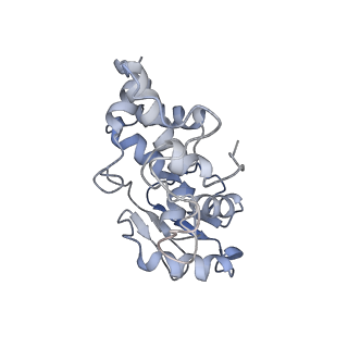 2847_5afi_d_v1-3
2.9A Structure of E. coli ribosome-EF-TU complex by cs-corrected cryo-EM