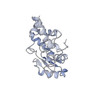 2847_5afi_d_v2-0
2.9A Structure of E. coli ribosome-EF-TU complex by cs-corrected cryo-EM