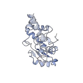 2847_5afi_d_v3-1
2.9A Structure of E. coli ribosome-EF-TU complex by cs-corrected cryo-EM