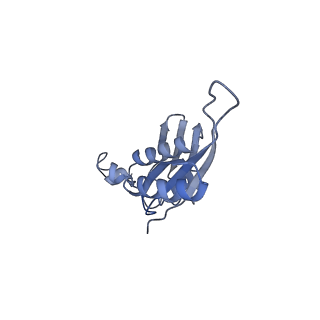 2847_5afi_e_v1-3
2.9A Structure of E. coli ribosome-EF-TU complex by cs-corrected cryo-EM