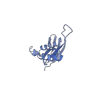 2847_5afi_e_v2-0
2.9A Structure of E. coli ribosome-EF-TU complex by cs-corrected cryo-EM