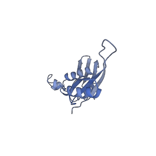 2847_5afi_e_v3-1
2.9A Structure of E. coli ribosome-EF-TU complex by cs-corrected cryo-EM
