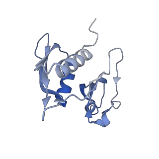 2847_5afi_h_v1-3
2.9A Structure of E. coli ribosome-EF-TU complex by cs-corrected cryo-EM