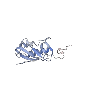 2847_5afi_i_v1-3
2.9A Structure of E. coli ribosome-EF-TU complex by cs-corrected cryo-EM
