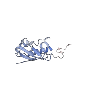 2847_5afi_i_v2-0
2.9A Structure of E. coli ribosome-EF-TU complex by cs-corrected cryo-EM