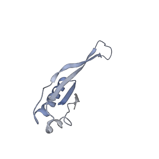 2847_5afi_j_v1-3
2.9A Structure of E. coli ribosome-EF-TU complex by cs-corrected cryo-EM