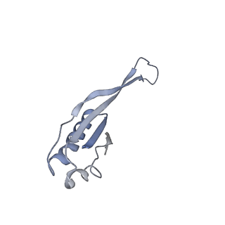 2847_5afi_j_v3-1
2.9A Structure of E. coli ribosome-EF-TU complex by cs-corrected cryo-EM