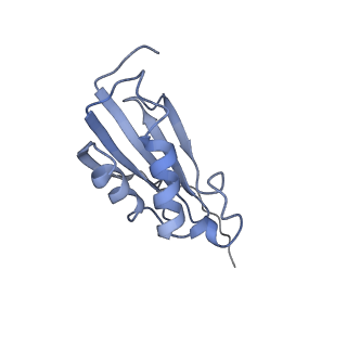 2847_5afi_k_v2-0
2.9A Structure of E. coli ribosome-EF-TU complex by cs-corrected cryo-EM