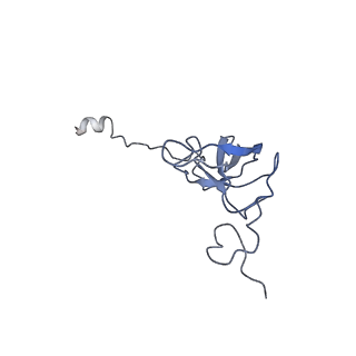 2847_5afi_l_v1-3
2.9A Structure of E. coli ribosome-EF-TU complex by cs-corrected cryo-EM