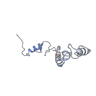 2847_5afi_n_v1-3
2.9A Structure of E. coli ribosome-EF-TU complex by cs-corrected cryo-EM