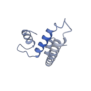 2847_5afi_o_v3-1
2.9A Structure of E. coli ribosome-EF-TU complex by cs-corrected cryo-EM