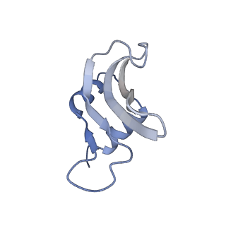 2847_5afi_p_v1-3
2.9A Structure of E. coli ribosome-EF-TU complex by cs-corrected cryo-EM