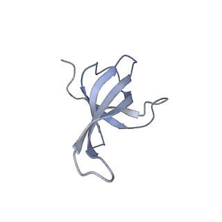 2847_5afi_q_v2-0
2.9A Structure of E. coli ribosome-EF-TU complex by cs-corrected cryo-EM
