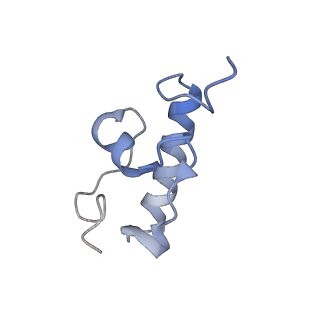 2847_5afi_r_v1-3
2.9A Structure of E. coli ribosome-EF-TU complex by cs-corrected cryo-EM