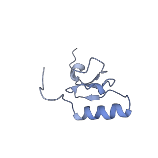 2847_5afi_s_v1-3
2.9A Structure of E. coli ribosome-EF-TU complex by cs-corrected cryo-EM