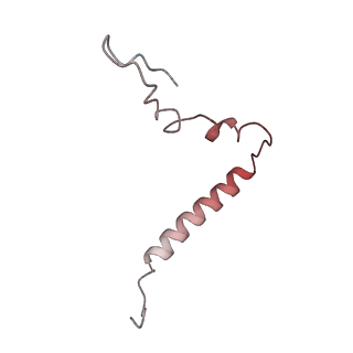 2847_5afi_u_v1-3
2.9A Structure of E. coli ribosome-EF-TU complex by cs-corrected cryo-EM