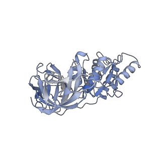 2847_5afi_z_v1-3
2.9A Structure of E. coli ribosome-EF-TU complex by cs-corrected cryo-EM