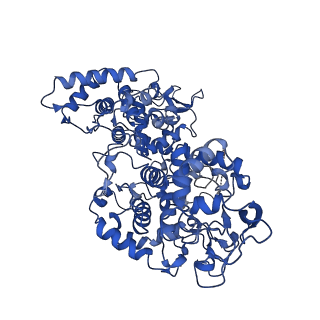 11776_7ag8_A_v1-1
Cryo-EM structure of wild-type KatG from M. tuberculosis