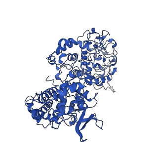 11776_7ag8_B_v1-1
Cryo-EM structure of wild-type KatG from M. tuberculosis