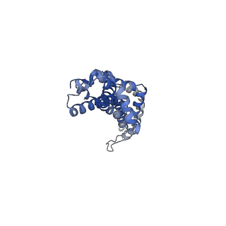 11780_7agx_1F_v1-1
Apo-state type 3 secretion system export apparatus complex from Salmonella enterica typhimurium