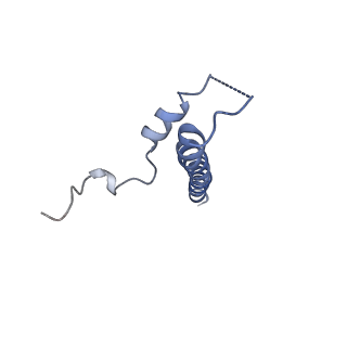 11780_7agx_1K_v1-1
Apo-state type 3 secretion system export apparatus complex from Salmonella enterica typhimurium