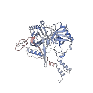 15416_8ag5_A_v1-1
Vaccinia C16 protein bound to Ku70/Ku80