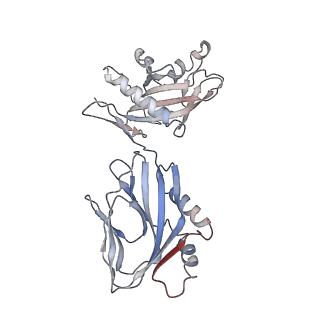15416_8ag5_C_v1-1
Vaccinia C16 protein bound to Ku70/Ku80