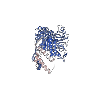 15417_8ag6_A_v1-2
human MutSalpha (MSH2/MSH6) binding to DNA with a GT mismatch