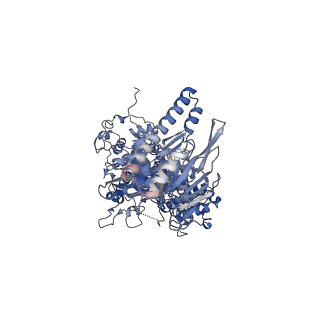 15417_8ag6_B_v1-2
human MutSalpha (MSH2/MSH6) binding to DNA with a GT mismatch