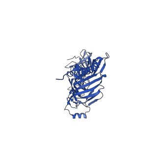 15419_8agb_E_v2-0
Structure of yeast oligosaccharylransferase complex with lipid-linked oligosaccharide bound